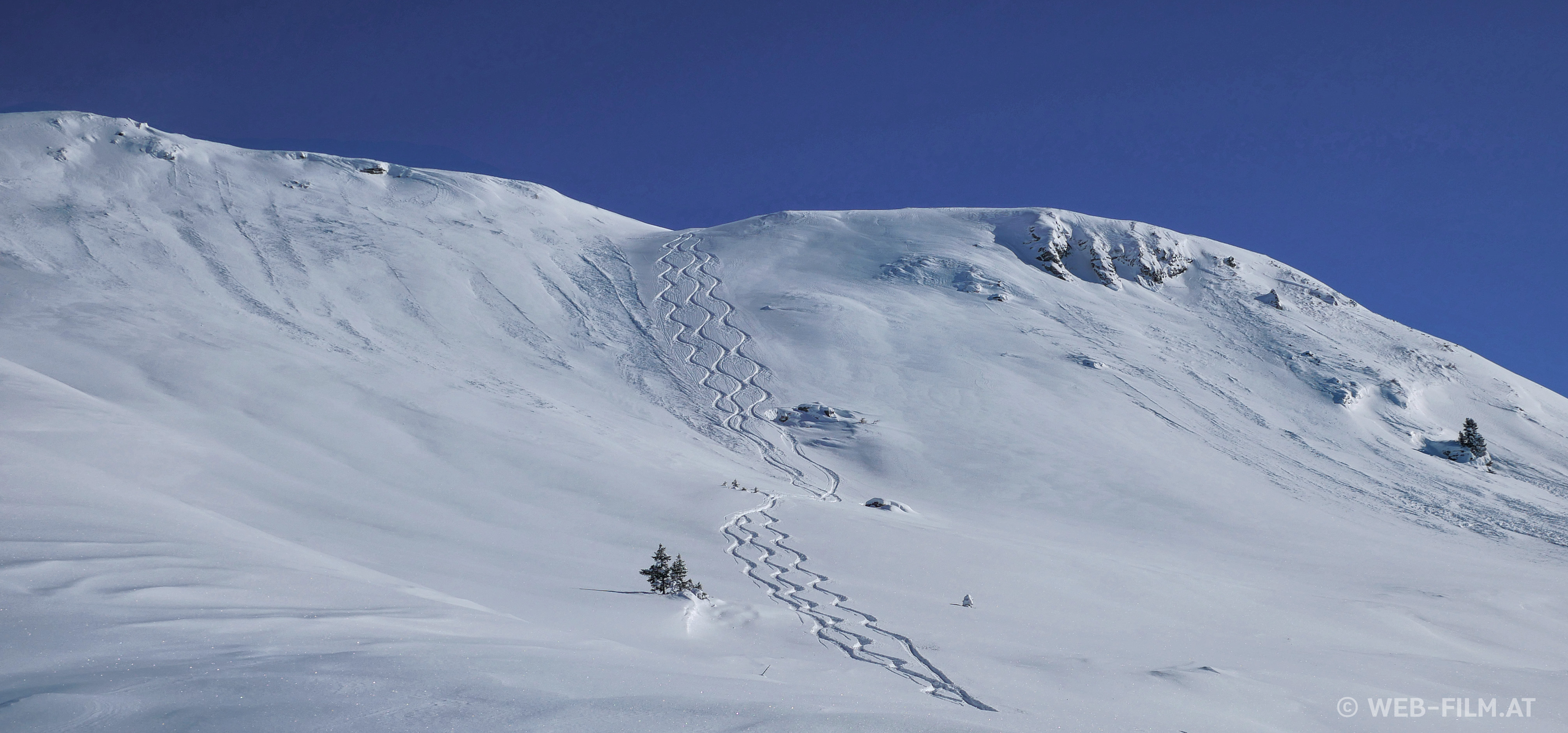 Powder Skiing Spurren Powder8 Andreas Krobath